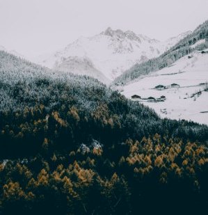 Hunting in the Alps: Essential Information for Hunters